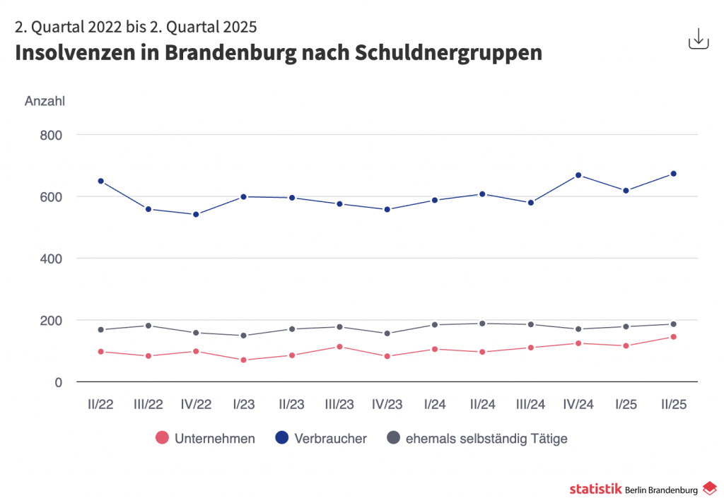 Insolvenzen in Brandenburg nach Schuldnergruppen - ein Auszug von Statistik Berlin Brandenburg